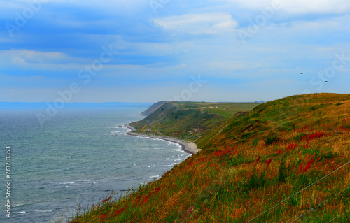 Baltic Sea in Sweden, Landscape view from Ales Stones. © Emma