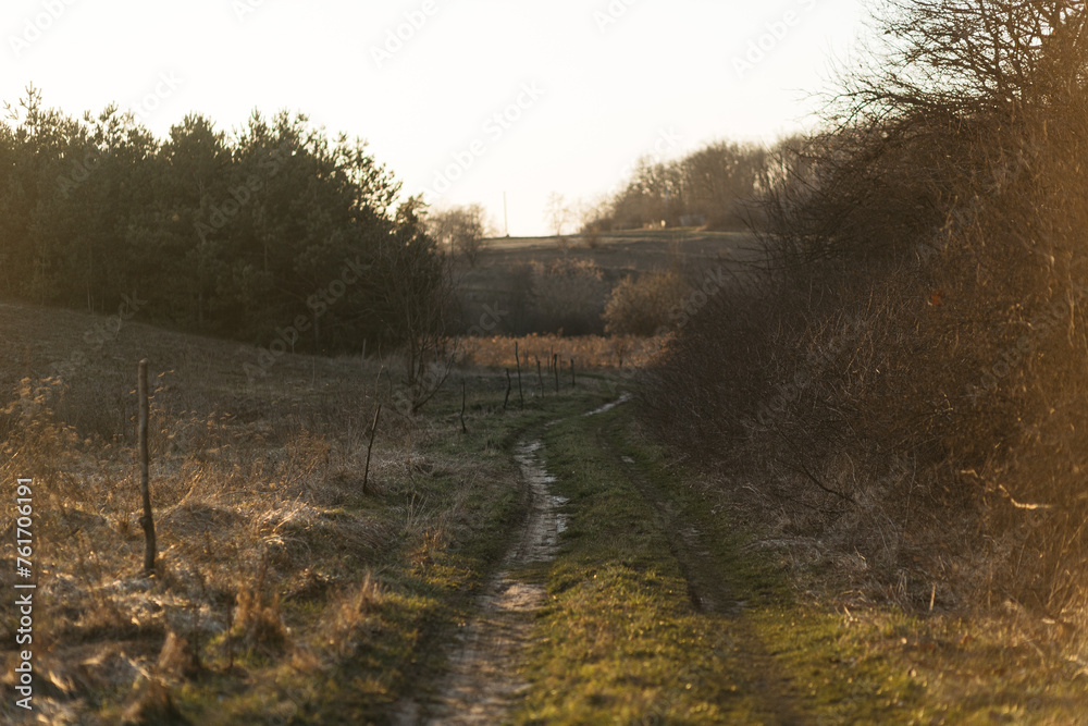 forest road leading to the village. spring day sunset forest road leading to the village. spring day sunset