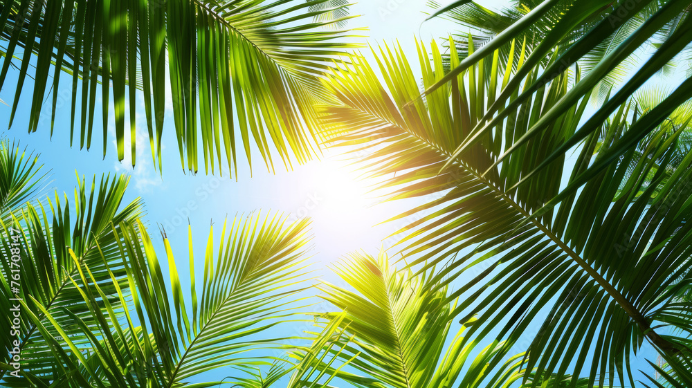 Serenity in Nature, Silhouetted Palm Leaves under Azure Skies Serenity in Nature, Silhouetted Palm Leaves under Azure Skies