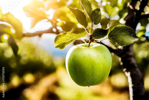 Refreshing Green Apple: A Taste of Summer in the Orchard