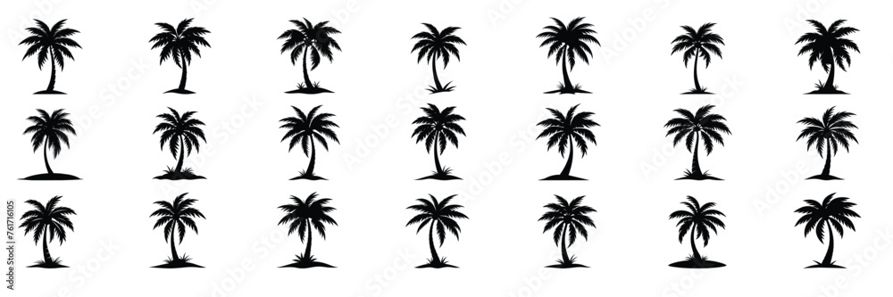 Collection of palm trees silhouette. Hand drawn vector art.