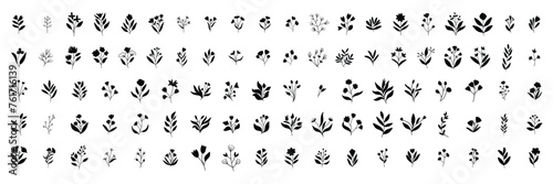 Collection of flower in doodle style. Hand drawn vector art. photo