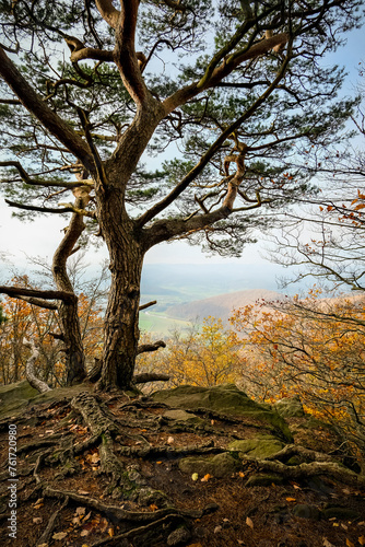 Wandern im Naturpark Eichsfeld-Hainich-Werratal (Thüringen, Deutschland) Auf dem Weg von Burg Hanstein zur Teufelskanzel. Blick über die Baumwipfel ins Werratal. 