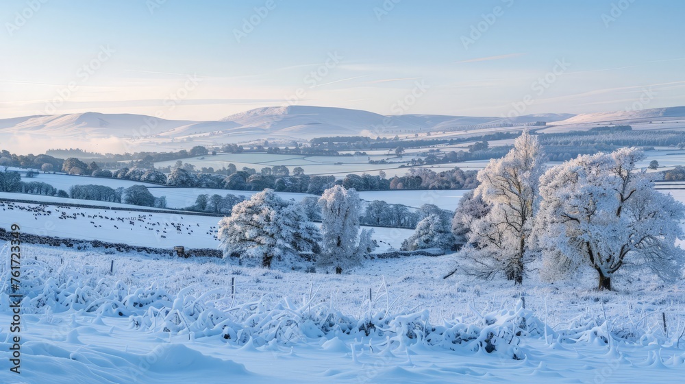 A snow-covered field with trees and hills in the background under a gray sky.