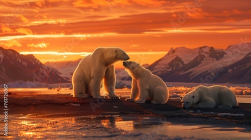 Pair of polar bears resting on the icy surface of a lake in their natural habitat.
