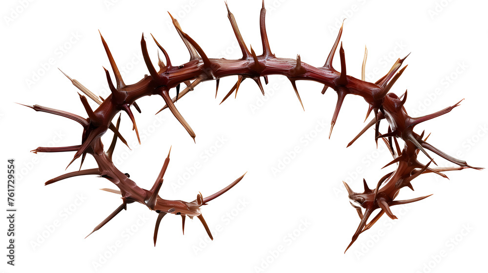 Crown of Thorns Isolated on Transparent Background Crown of Thorns Isolated on Transparent Background