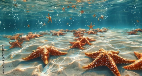 A group of starfish gracefully swim in the ocean. © pham
