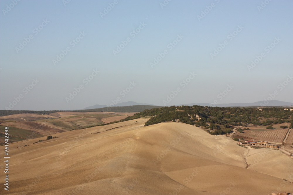 Dune Dune