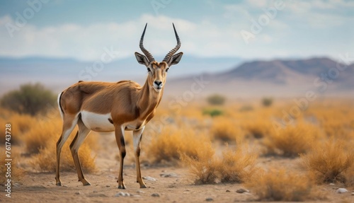  an antelope standing in the middle of a desert with a mountain range in the background in the distance.