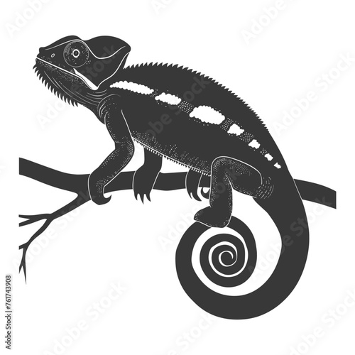 Silhouette chameleon Animal black color only full body