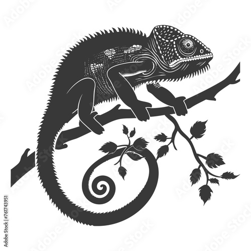 Silhouette chameleon Animal black color only full body