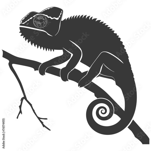 Silhouette chameleon Animal black color only full body