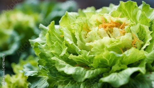  a close up of a green leafy plant with lots of leaves in the foreground and a blurry background.