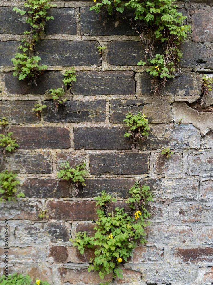 Brick wall, Glasgow Brick wall, Glasgow