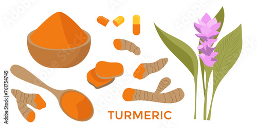 Turmeric curcuma orange root sliced and in powder in bowl and in spoon, curcuma flower with leaves.   Vector illustration of spice and healthy food additive. 