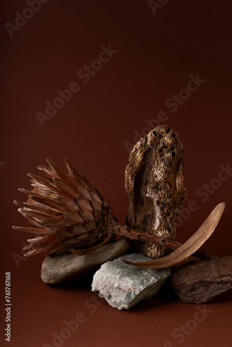 Podium for exhibitions and product presentations material stone wood branch. Beautiful brown background made of natural materials. Abstract nature scene with composition.