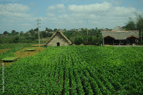 Vinales photo