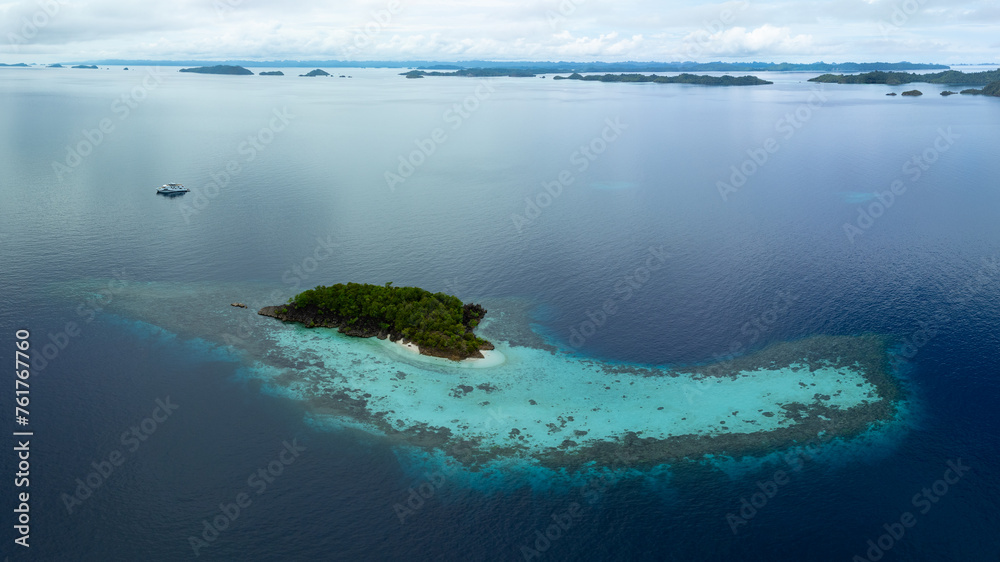 Obraz premium Beautiful limestone islands rise from Raja Ampat's tropical seascape. This region of Indonesia is known as the heart of the Coral Triangle due to the extraordinary marine biodiversity found there.