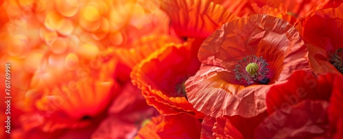 Close up of red poppy flowers in the background  banner with space for copy Generative AI