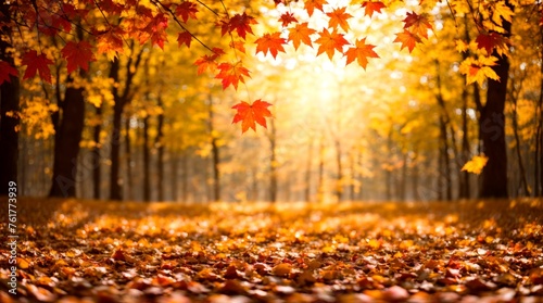 Leaves of fall gently tumble in a sunlit forest glade
