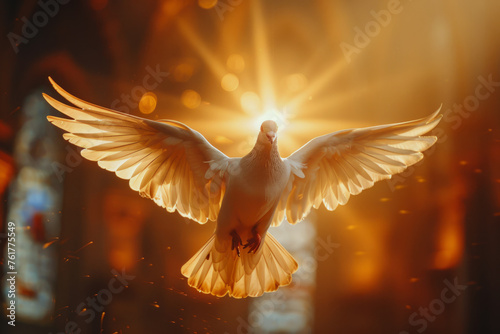 The Holy Spirit in the Form of a White Dove © Bojan