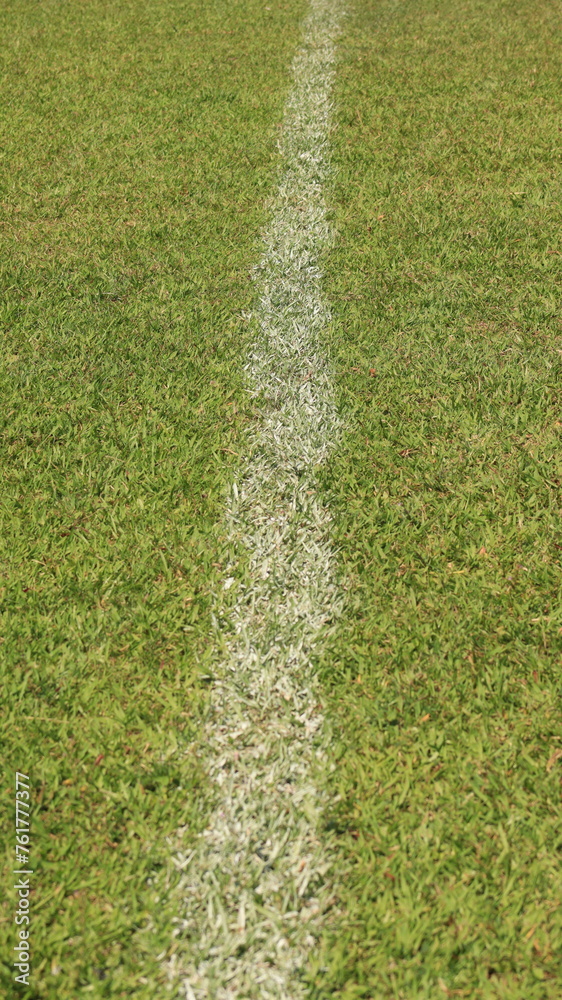 Linha lateral branca em um campo de futebol em um dia de sol