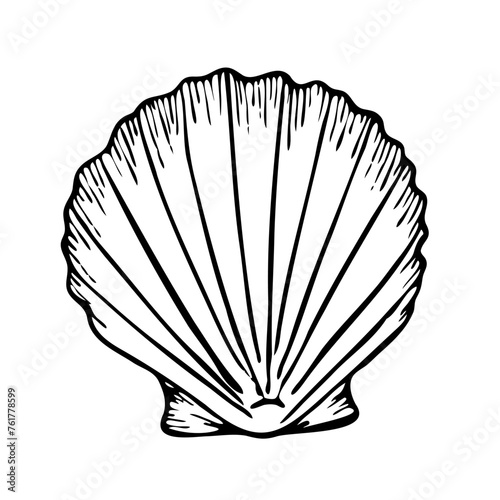 Seashell vector line art illustration top view. Hand drawn sketch of scallop. Undersea drawing of seashell.  Isolated design element in outline style for icon, logo, seafood shop, menu, coloring. 
