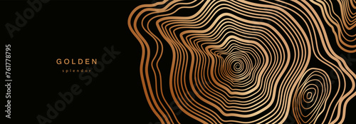 Background of abstract growth rings of a tree.Line design of a timber stump.Tree cut pattern.Wooden organic slice line creation.Vector topographic map concept.