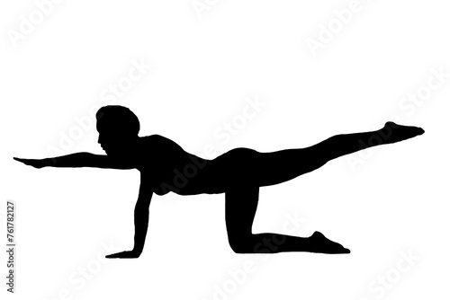 silhouette woman in yoga movements pilates body exercise vector image isolated on transparent white background