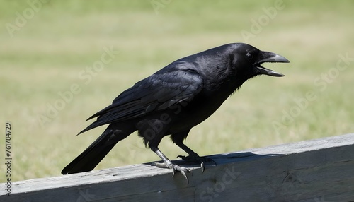A Crow With Its Claws Scratching At A Wooden Fence