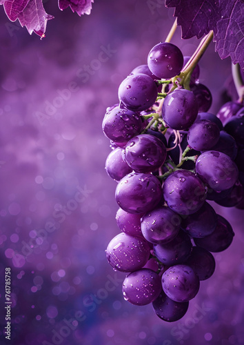 Purple grapes hanging from vine with bokeh background