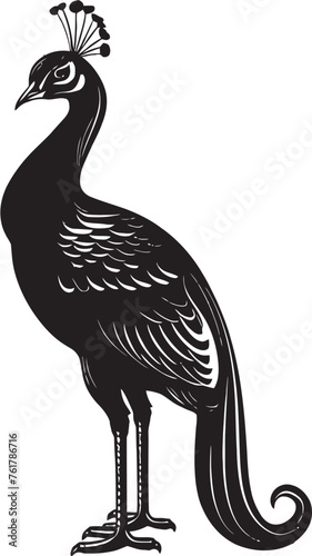Enchanting Majesty Magnificent Peacock Emblem in Black Majestic Beauty Hand Drawn Peacock Symbol in Black Vector
