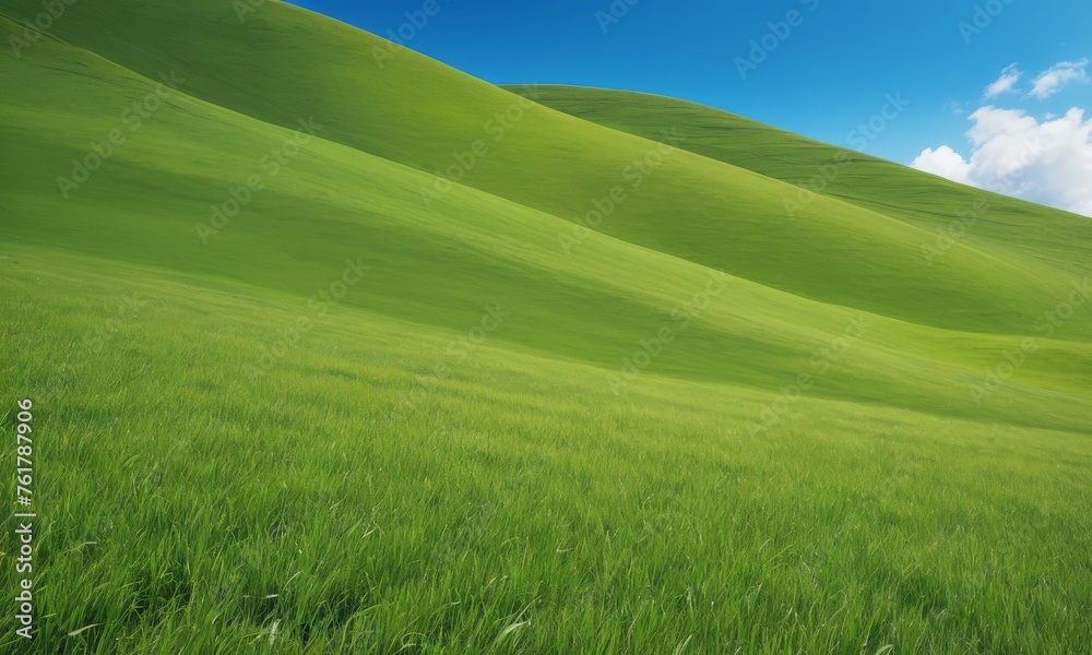 Panoramic view of smooth green hills rolling under a clear blue sky. The expansive landscape conveys a sense of peace and the grandeur of nature.