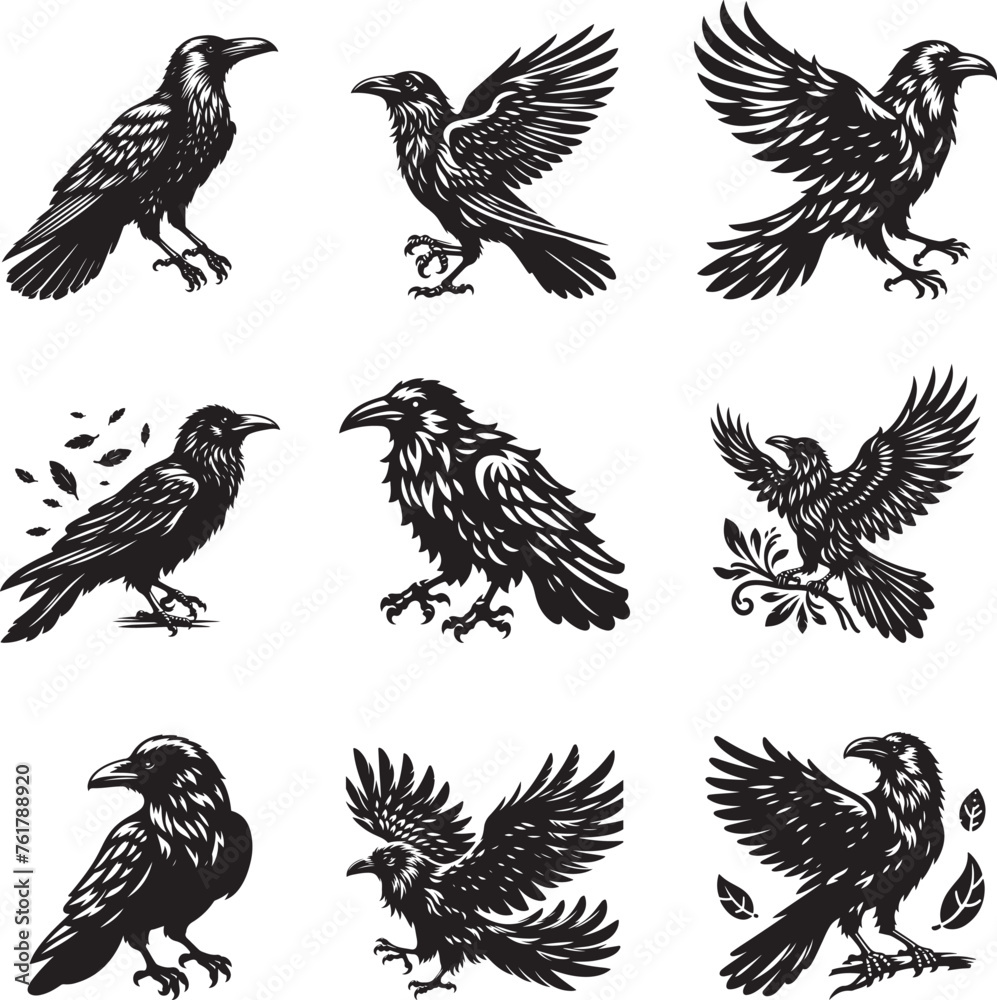 Obraz premium Raven silhouette vector illustration set
