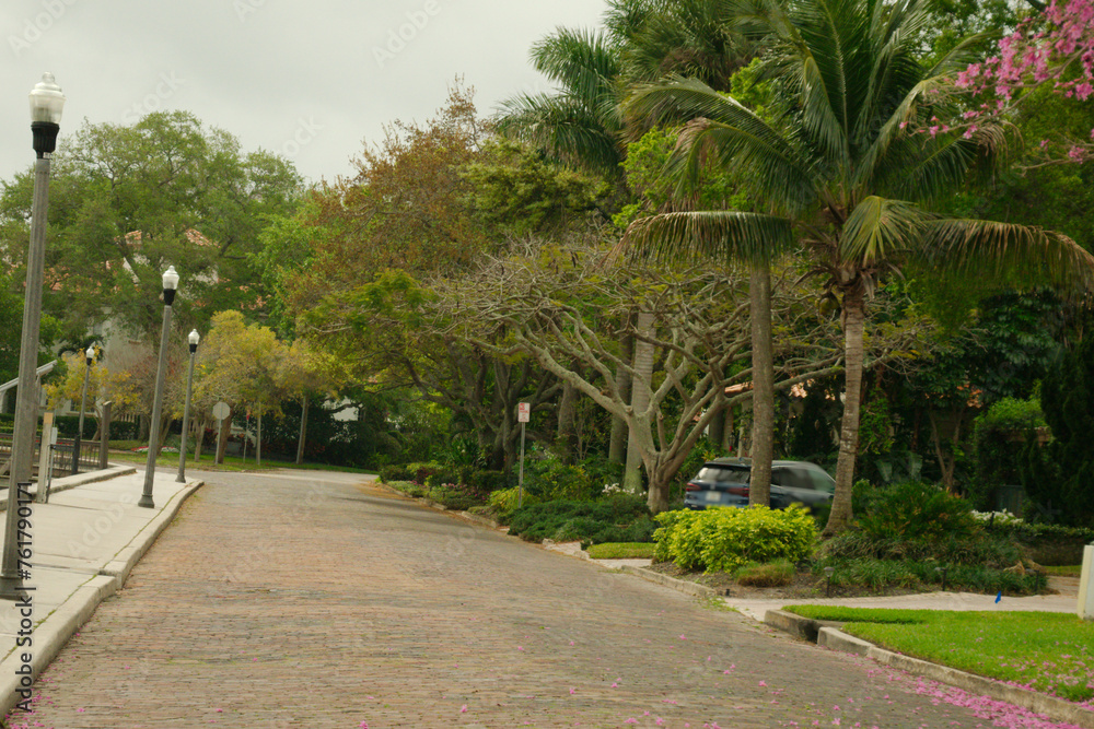 Wide view down an old brick street Coffee Pot Blvd NE  in St. Petersburg, Florida. Green grass with trees on both sides. Lamp posts on the left. Room for copy leading lines. Cloudy morning.
