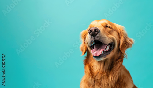 Happy Golden Retriever With Eyes Closed And Mouth Open, Dogs Care Products Advertising, Studio Photo