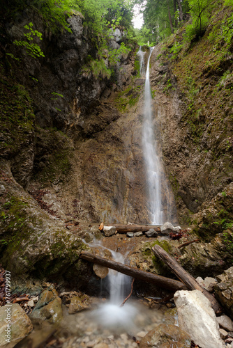 Cascade dans la forêt