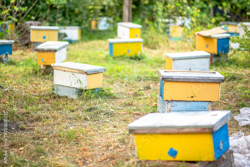 Beehives in the garden of a country house