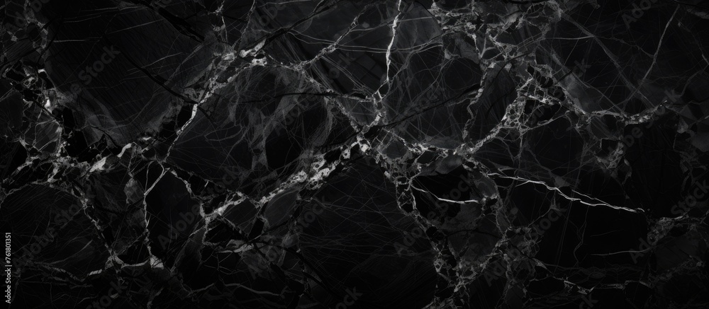 Close up of black marble with white veins, resembling a monochrome pattern found in nature. Resembling the winding veins of a terrestrial plant or dark forest floor Close up of black marble with white veins, resembling a monochrome pattern found in nature. Resembling the winding veins of a terrestrial plant or dark forest floor