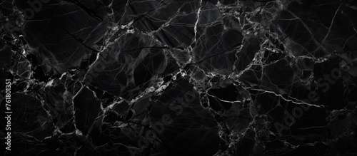 Close up of black marble with white veins, resembling a monochrome pattern found in nature. Resembling the winding veins of a terrestrial plant or dark forest floor photo