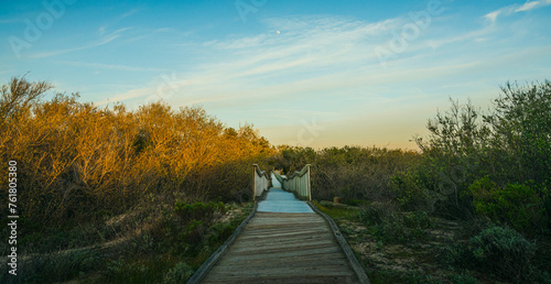 Empty boardwalk leading to distant through tree woods. Forest trekking hike trail at sunset. Oceano, California