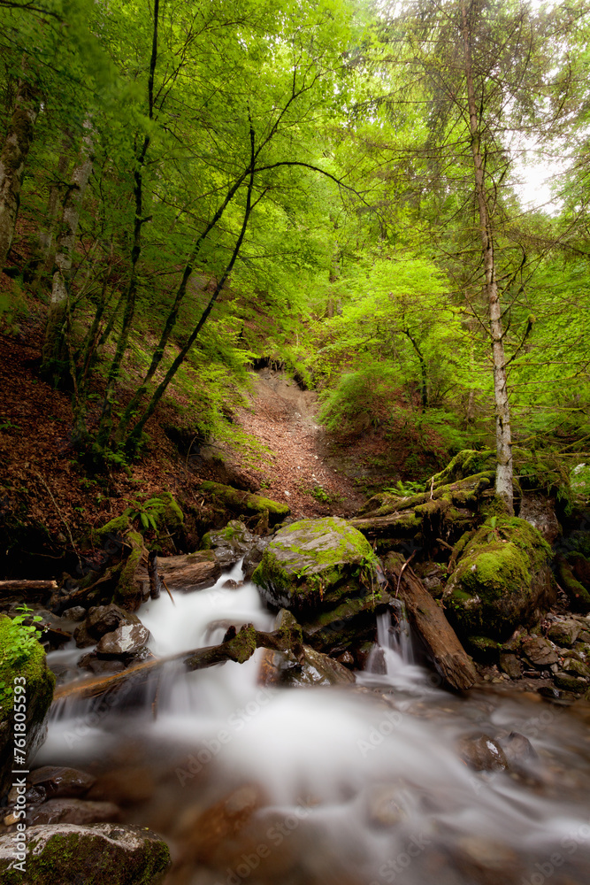 Obraz premium Cascade de haute Savoie 