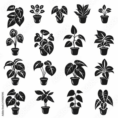 Peperomia Pot Plant Icon Set, Peperomia Plant Black White Design, Abstract Peperomia Symbol