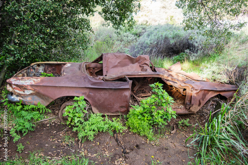 Abandoned rusty ruin of 1960s automobile with over growth.  Shot at Santa Susana Pass State Historic Park near Los Angeles California.