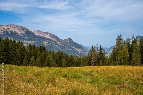 Landscape of the mountains, sky and forest in summer in Switzerland.