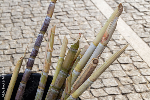 Fototapeta Naklejka Na Ścianę i Meble -  Sugar cane sticks in a vessel of different colors for drinks
