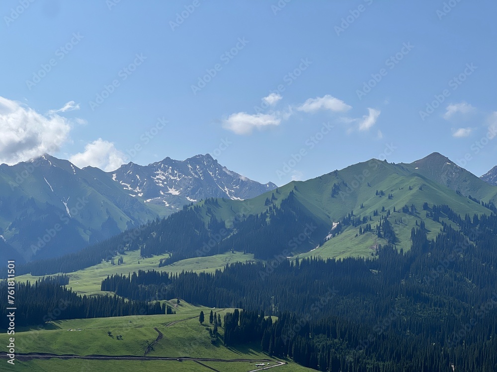 Fototapeta premium landscape in the summer