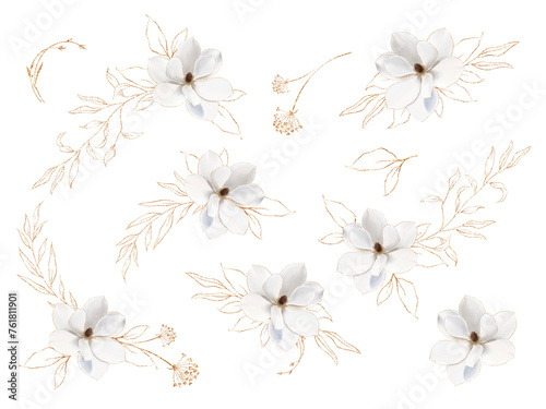 Set of White magnolia flower with golden leaves isolated on transparent background. Floral luxury design for greeting cards. Elegant botanical element for pattern, frame. Greenery wedding invitation