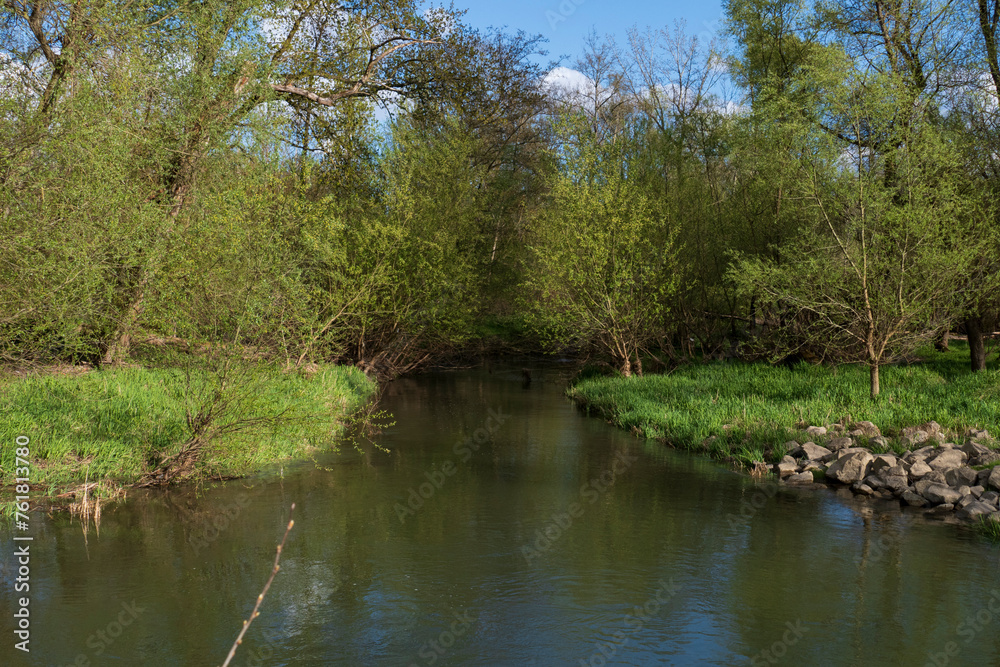 Seitenarm, Rheinaue in der Nähe von Iffezheim Seitenarm, Rheinaue in der Nähe von Iffezheim