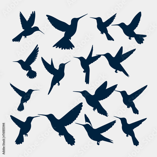 flat design hummingbird silhouette collection